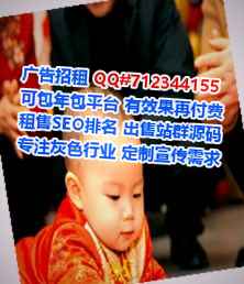 赤坎助孕翻译有限公司